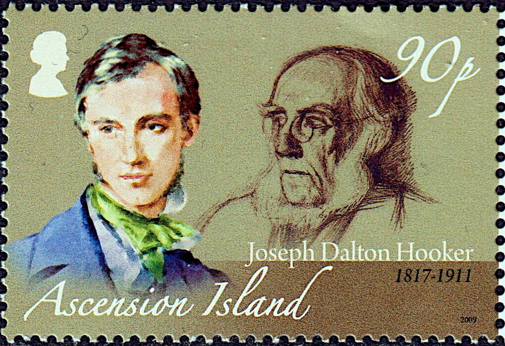 "The Silver Stars are in the Sky"