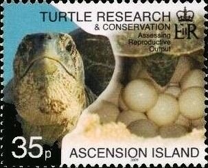 Crested Caracara (Caracara plancus)