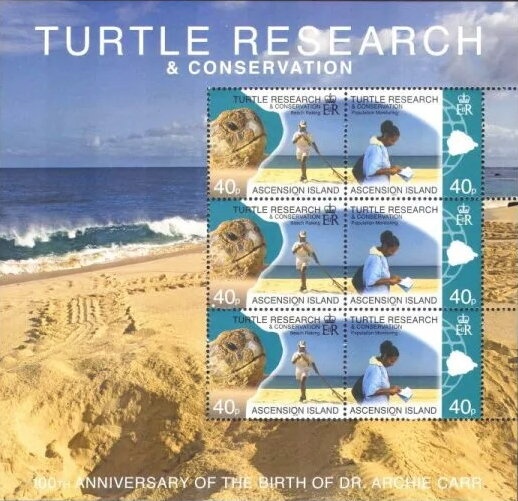 Soursop (Annona muricata)