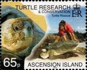 Papua New Guinea both symbols from Flag