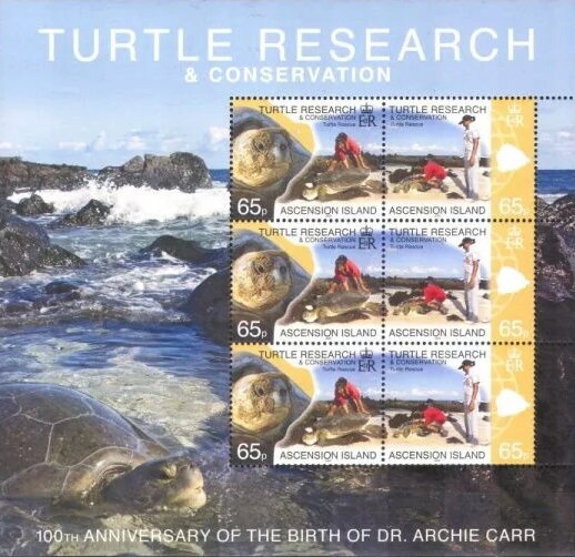 Caribbean Reef Octopus (Octopus briareus)