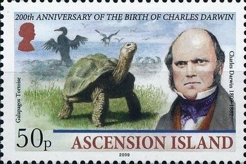 Queen Elizabeth II - Type A