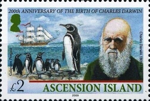 Richmond Bridge, Tasmania