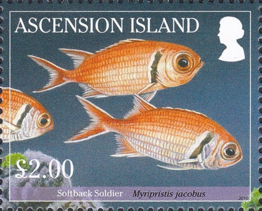 Mother Teresa and Princess Diana