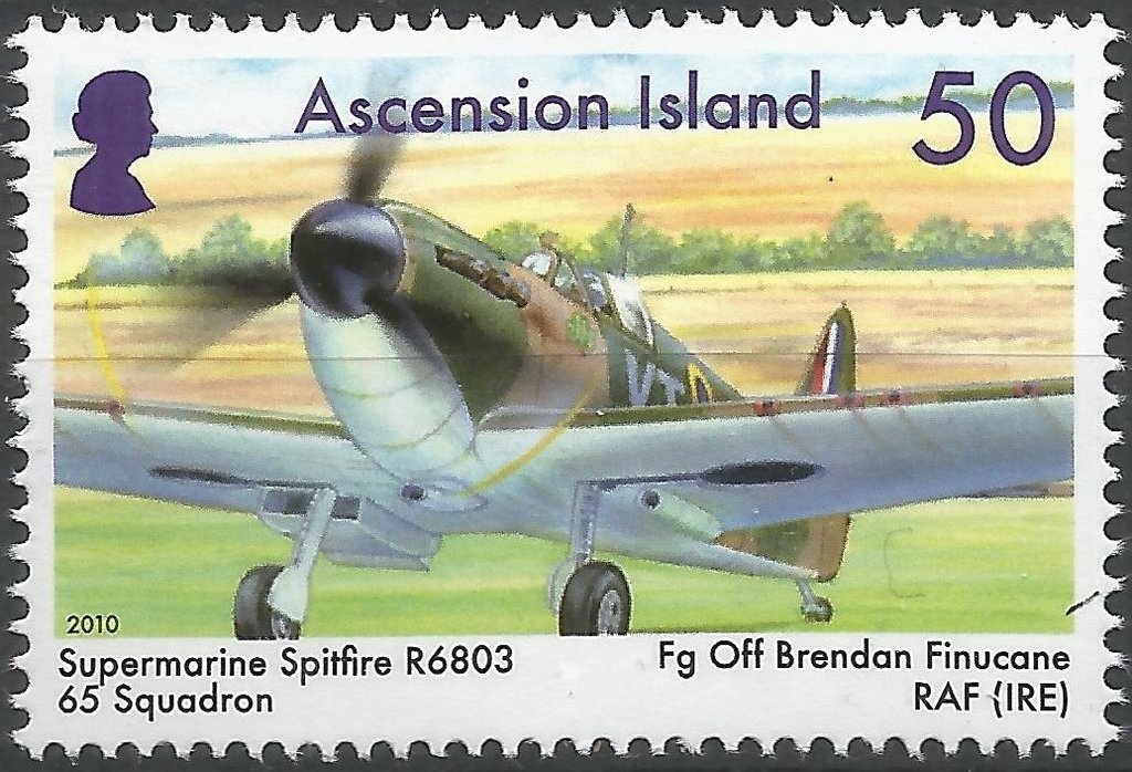 Regal Angelfish (Pygoplites diacanthus)