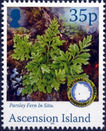 350th Anniversary of Dirk Hartog's Landing