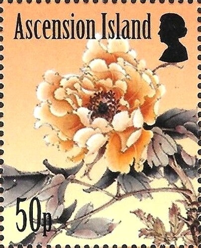 Block of 4, Summer Olympics