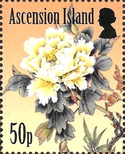 PS Canberra (paddle steamer)