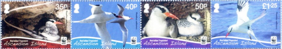 Veteran and Vintage Cars