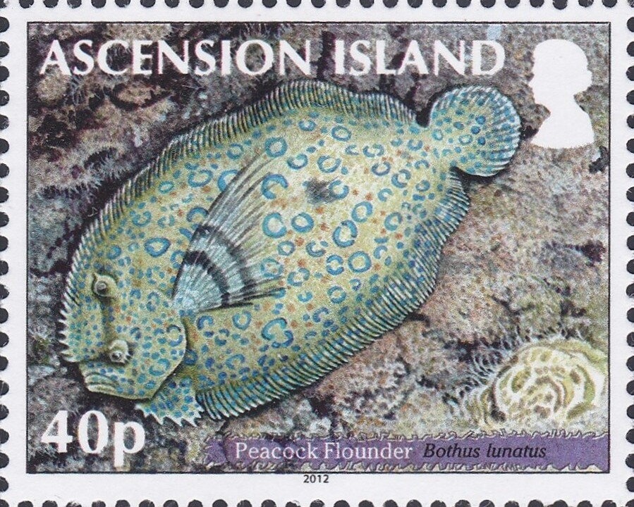 Olympic Games Publicity