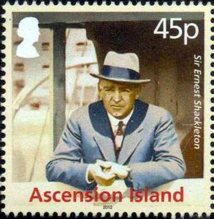 Spotted Catbird (Ailuroedus maculosus)