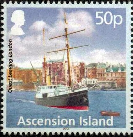 Green Sea Turtle (Chelonia mydas)