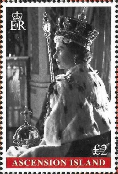 Lyre Bird (Menura novaehollandiae)