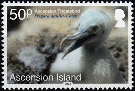 International Youth Year