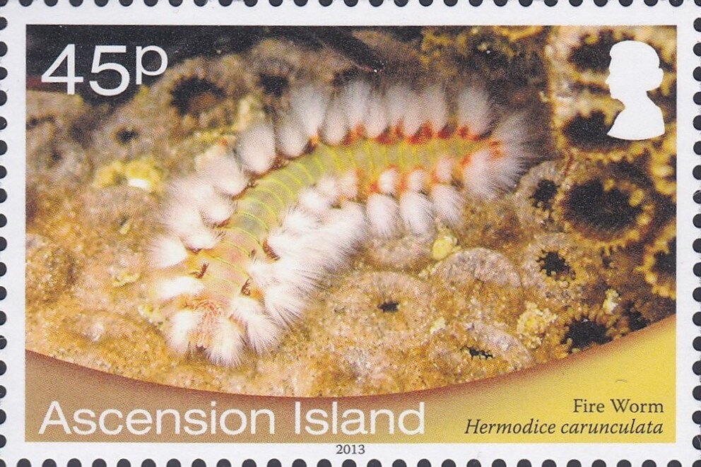 International Culture