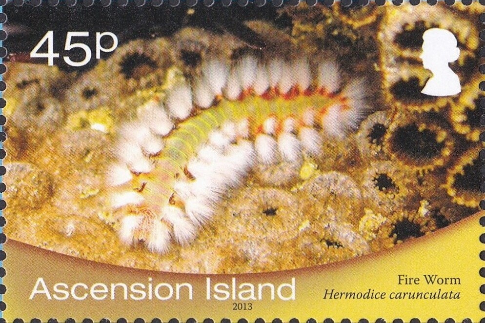 Ariane Downrange Station