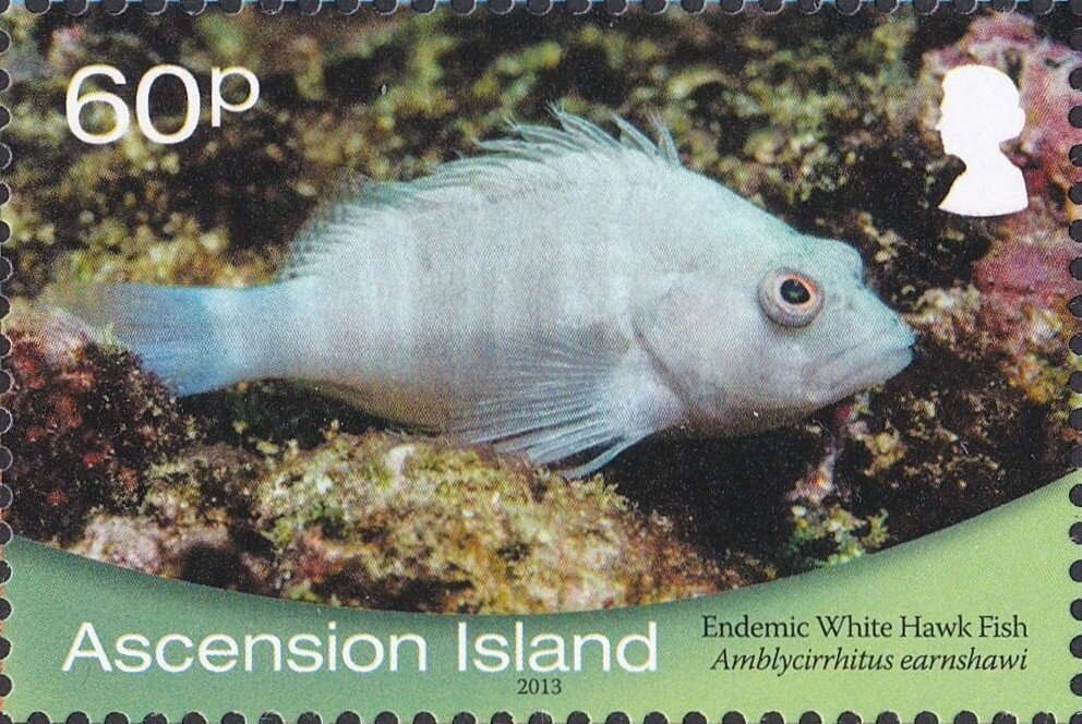 Queen Elizabeth II 5c - I(BR)