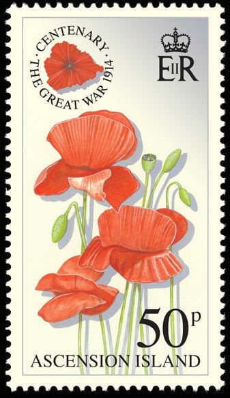 Horse-eye Jack (Caranx latus)