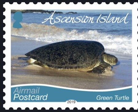 Navy church parade 1901