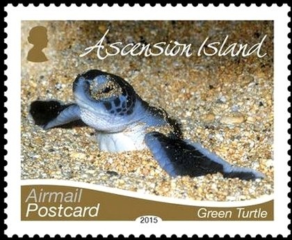 King George V on "Anzac"