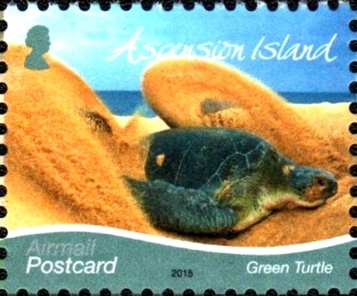 Presence by Jacqueline Mepstead