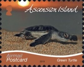 Ngana Nyitting: The Art of Kevin Bynder