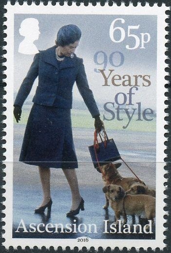 Ascension Frigatebird (Fregata aquila)