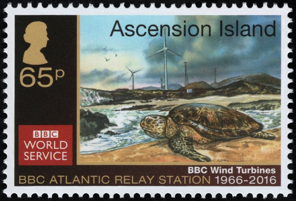 Lara Kuiperi: Cactus Landscape