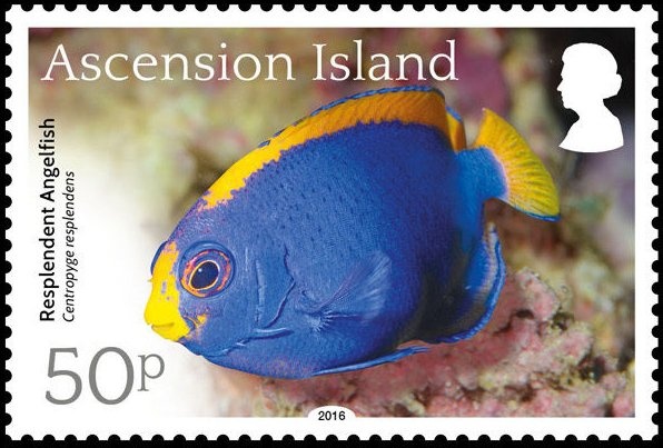 Birthday of Queen Elizabeth II - 1989