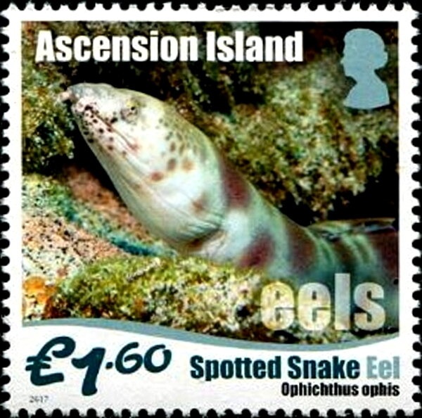 Nativity Scene, Angels