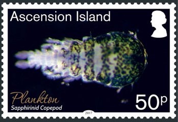 First Fleet at Rio de Janeiro