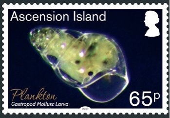 60th Anniversary of Aruban Carnival