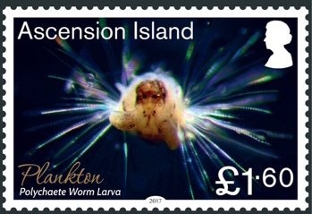 Veterans and ANZAC Day Parade