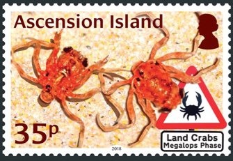 Australian Rules Football - P(14 x 14¼)