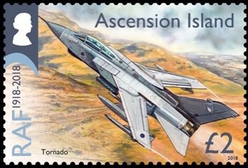 Bee (Apis mellifera)