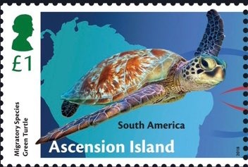 Emu (Dromaius novaehollandiae)