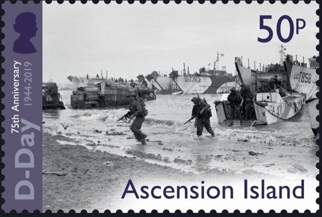 Blue Water Lily (Nymphaea capensis)