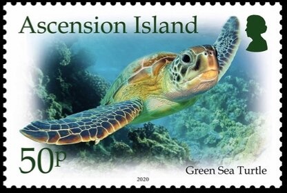 German Beardman Jug (Vergulde Draeck, 1656)