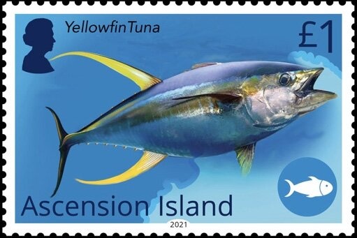 Opening of Parliament House, Canberra