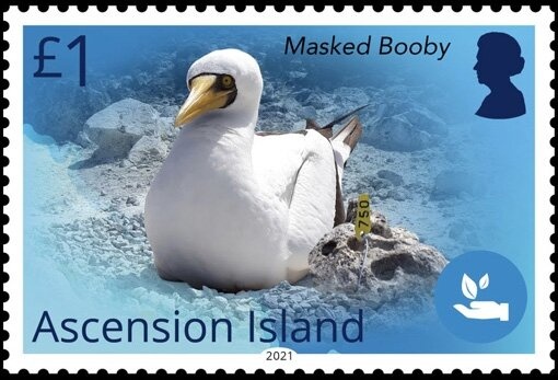 Centenary of First Queensland Postage Stamp