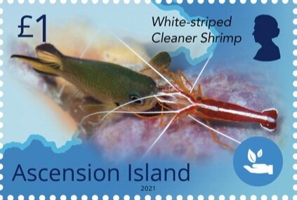 Sketch for "The Ascension" by West