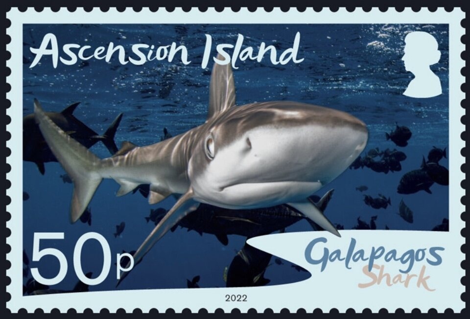 50th Anniversary of APEX Service Clubs