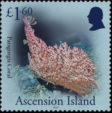 Mimi Spirits Dancing