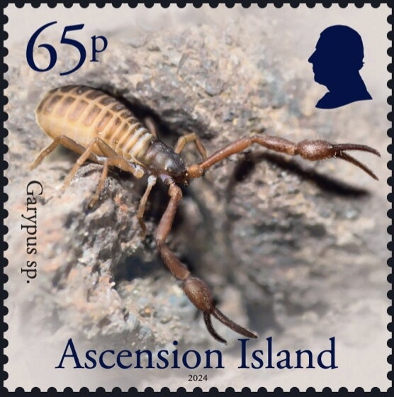 "Garth Castle" (Mail Ship), 1930