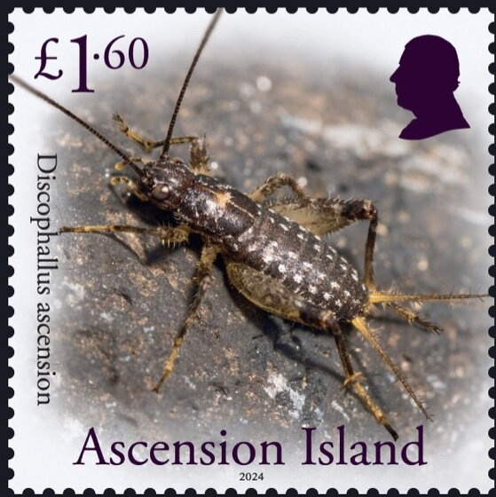 Prime Minister - Andrew Fisher - I(BR)