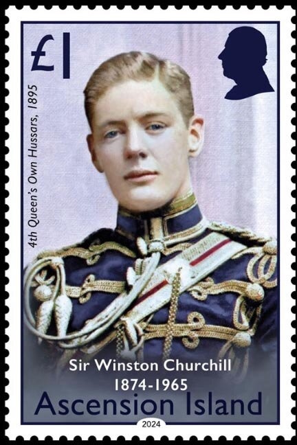 Smooth Knob-tailed Gecko (Nephrurus laevissimus) - P(12¾)