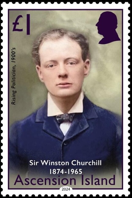 Ascension Frigatebird (Fregata aquila)