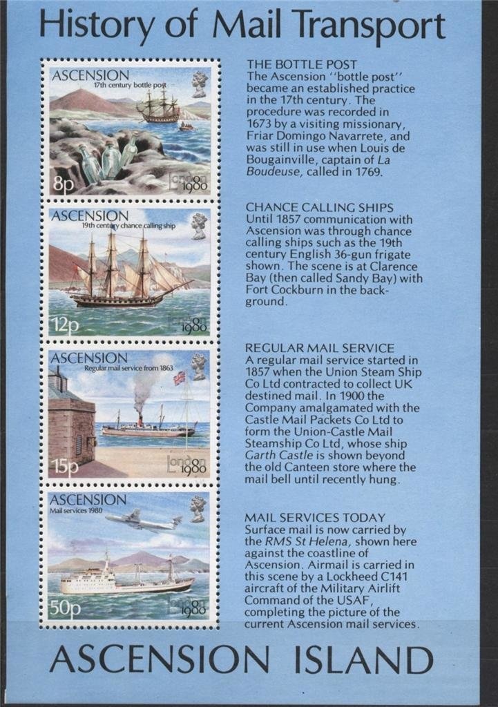 Kookaburra (Dacelo novaeguineae)