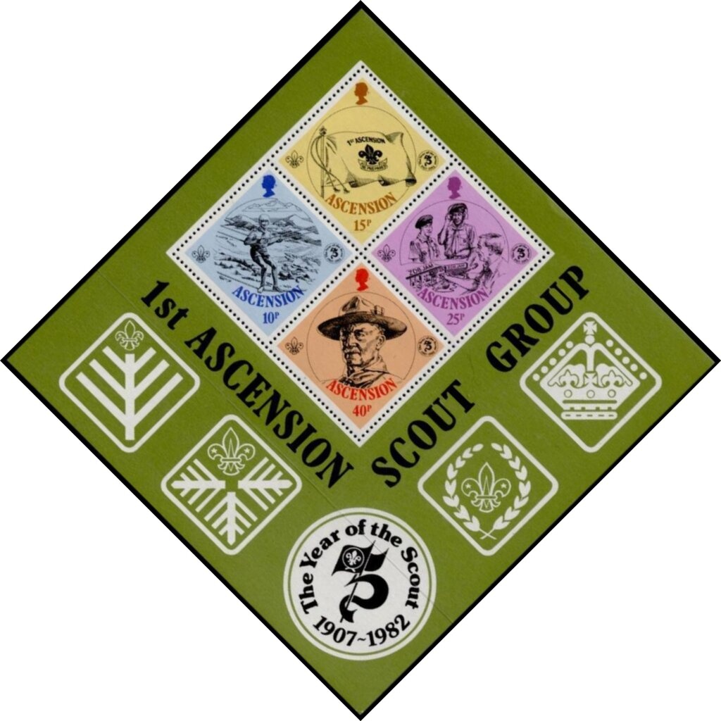 Migratory Species : Hawksbill Turtle