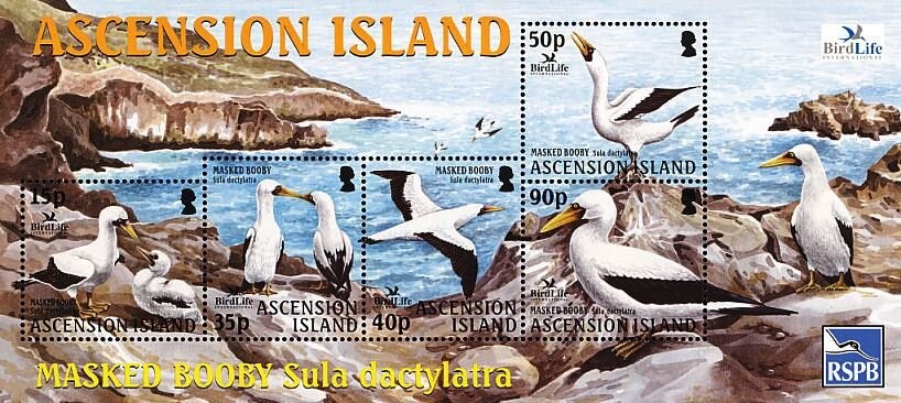 Royal Wedding of Prince Harry & Meghan Markle